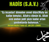 hadis-olmeden