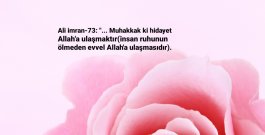 ALLAH'A ULAŞMAYI DİLEMEK FARZDIR.